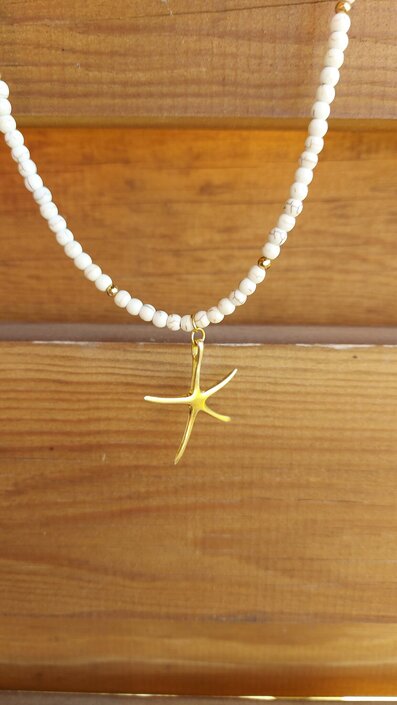 Κολιέ με αστερία ασημι 925°Folegandros